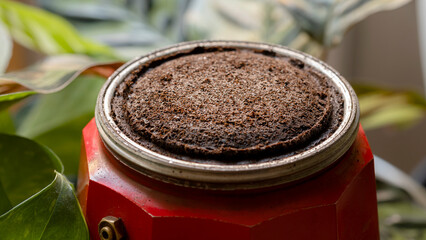 Coffee grounds as organic fertilizer