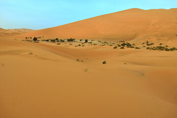 SAND DUNES AROUND MERZOUGA OASIS IN MOROCCO