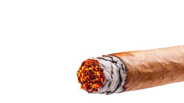close up view of burning cigar, showcasing glowing embers and textured wrapper. image captures essence of relaxation and indulgence