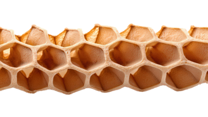 Honeycomb structure with hexagonal cells, showcasing natural pattern and texture. This organic formation is often associated with bees and honey production, evoking sense of natures design