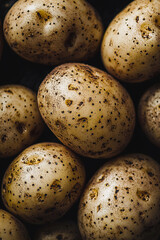 Obraz premium close up of different kinds of potato, full frame, food advertising