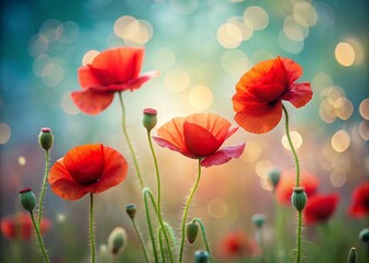 Obraz premium Minimalist Poppy Background: A Serene Floral Canvas for Modern Decor and Artistic Inspiration