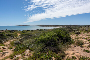 Scenic view over the Shark Bay Coast in Western Australia. Rugged outline with wild flowers and shrubs overlooking the sea and coastline.