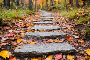 Obraz premium A serene pathway lined with stone slabs and colorful autumn leaves, surrounded by trees in a tranquil forest setting.