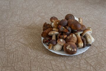 Different types of edible mushrooms on a plate.
