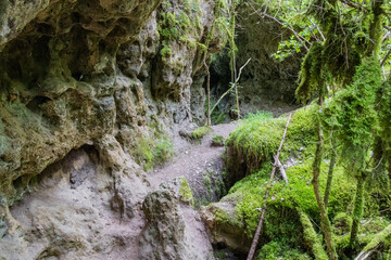 Narrow ravines called Canoles on the Larzac plateau. Aveyron. Occitanie. France.