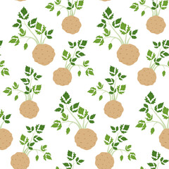 Seamless Celery Root Pattern with Fresh Green Leaves on White Background