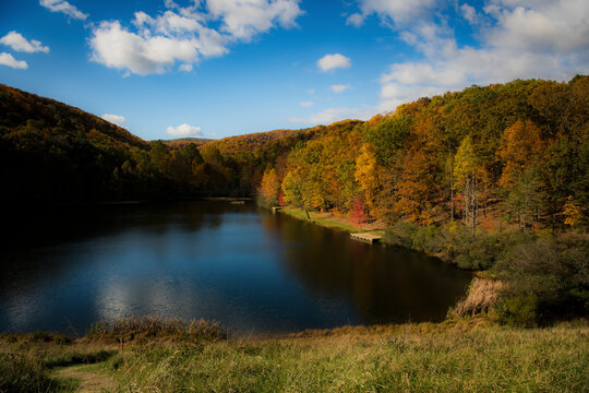 View of Sherando Lake surrounded by colorful autumn foliage and tranquil forest, Virginia, United States.