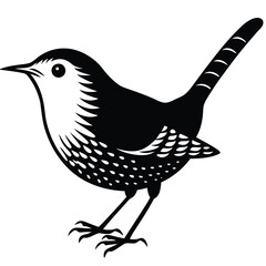 Winter wren Adobe Illustrator Artwork