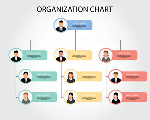 Organization chart business template for company to show the structure 
