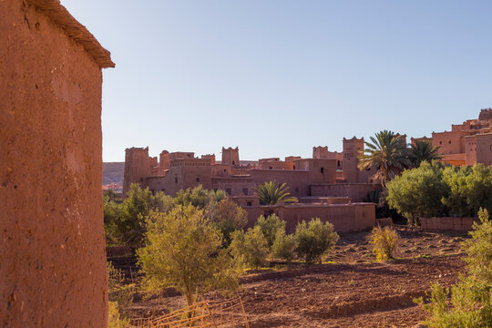 View of the historic kasbah and traditional mudbrick buildings surrounded by palm trees in a sunny landscape, Ait-Ben-Haddou, Morocco.