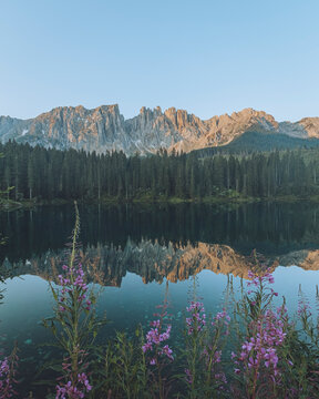 View of tranquil Lago di Carezza with majestic mountains and vibrant wildflowers, Nova Levante, Italy.