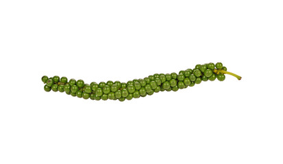 fresh pepper transparent png