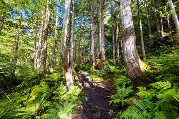 Tateshina Otaki Falls in Japan