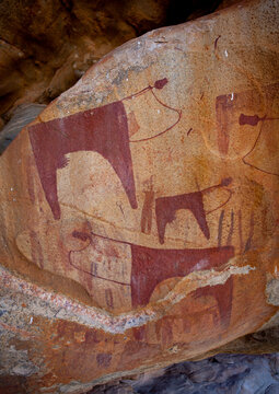 Laas Geel Rock Art Caves, Paintings Depicting Cows, Hargeisa, Somaliland