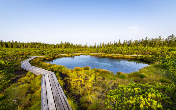 View of tranquil Lovrenska jezera with a scenic boardwalk and serene forest, Rogla, Slovenia.
