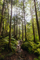 Tateshina Otaki Falls in Japan