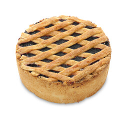 Delicious homemade blueberry pie isolated on white