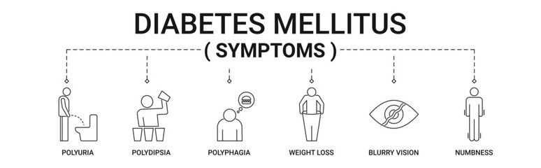 Diabetes Mellitus Symptoms banner with polyuria, polydipsia, polyphagia icon concept illustration