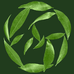 Many leaves swirling in air on green background