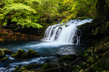 Tateshina Otaki Falls in Japan