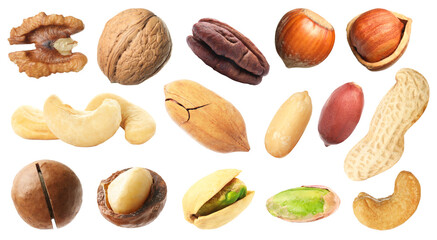 Macadamia and other nuts isolated on white, collection