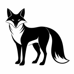 black and white fox
