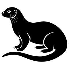 black sea lion