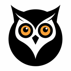 owl on white background