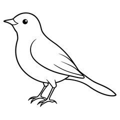 sketch of a bird