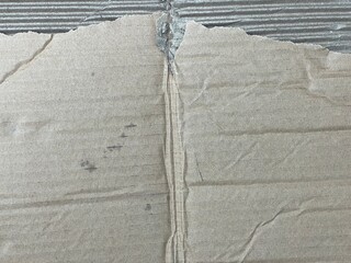 ripped cardboard texture