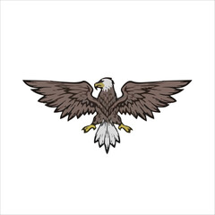 Eagle Bird vector design 