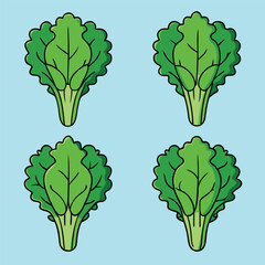 kale leaf icon in color, isolated on white background
