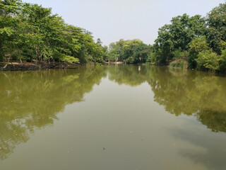 Lake view among lush trees in the forest. The reflection of green trees on the small pond shows the beauty of nature. nature landscape in the forest.
