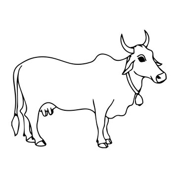 recommend clip art: Hand drawn Cow outline illustration