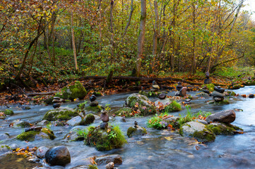 Pyramid of balanced zen stones in the river, meditation, calmness, relaxation, anxiety off, mental health, yellow and green trees, autumn. Neris Regional Park, Lithuania