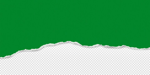 Green piece of paper with torn edges and soft shadow are on transparent background for text or ad.