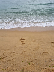 It is a beach where waves come in.