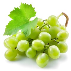 fresh organic bunch of green grapes