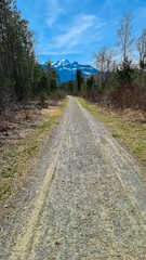 Scenic winding hiking trail through idyllic forest leading to snow-capped mountain peaks of Karawanks in Rosental, Carinthia, Austria. Overall atmosphere is peace, tranquility and natural beauty