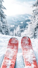 Red Skis on a Snowy Mountaintop: Winter Wonderland