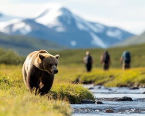 A brown bear walks through a lush landscape near a stream, with mountains in the background and hikers visible in the distance.