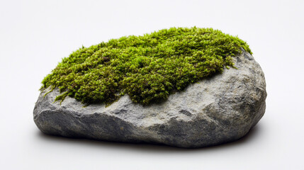 Green Moss on Stone Rock Isolated on White Background