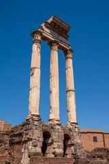 Obraz premium Ruins of buildings inside the Roman Forums.