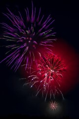 Colorful fireworks exploding in the night sky with vibrant red and purple hues