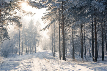 Obraz premium Winter landscape scenery with country road through the snow-covered fields, rural area.