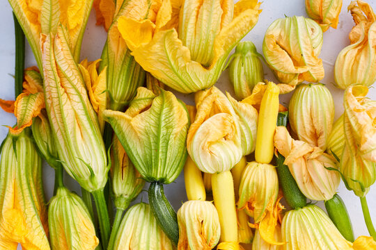 Courgette Zucchini flowers on a white background 