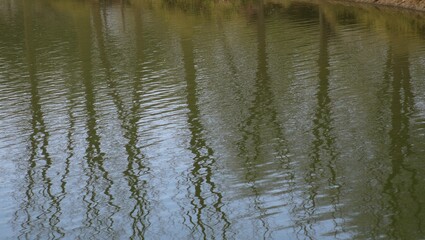 Fototapeta premium Tranquil river with tree reflections