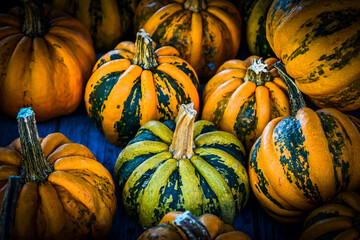 Kürbis, Kamo-Kamo, Cucurbita pepo, Speisekürbis, Kürbisernte, Erntezeit, Kürbisfest, Baselland,...