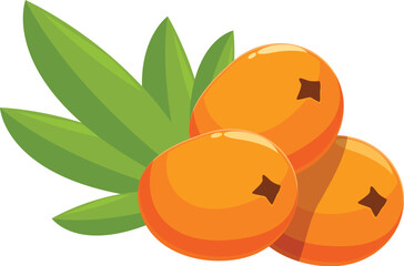 This illustration shows three ripe sea buckthorn berries with leaves, bursting with color